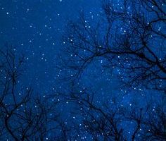 blue-star-night-image